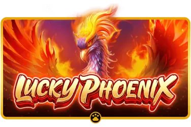 okkbet Card Games VIP Cashback Bonus mobile ကစားနည်း